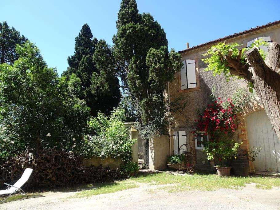 Sigean - Maison Domaine Viticole, 6 Km De La Mer Exterior photo